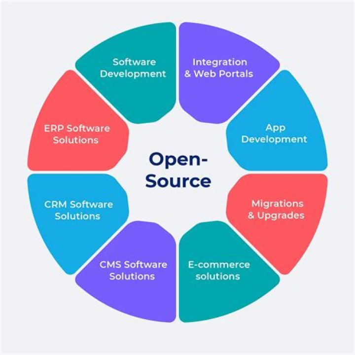 Insights Into Open Source And Software Development