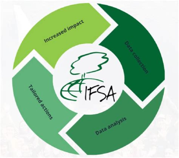Sotwe Ifsa: Exploring Origins & Impact in the Community & Finance