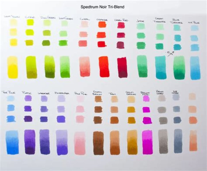 Unleash Your Creativity With The Spectrum Noir Tri-Blend Markers Color Chart